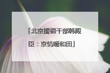 北京援疆干部韩殿臣：京情暖和田