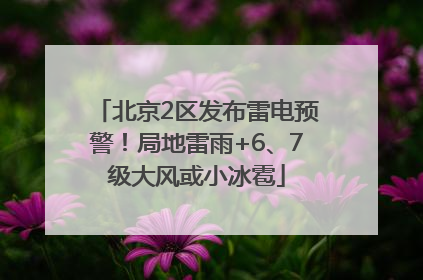北京2区发布雷电预警！局地雷雨+6、7级大风或小冰雹