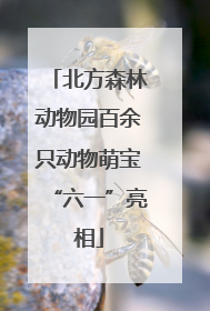 北方森林动物园百余只动物萌宝“六一”亮相
