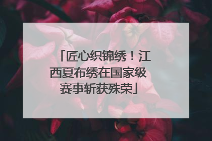 匠心织锦绣！江西夏布绣在国家级赛事斩获殊荣