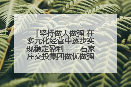 坚持做大做强 在多元化经营中逐步实现稳定盈利——石家庄交投集团做优做强典型报道之三