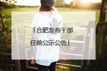 合肥发布干部任前公示公告