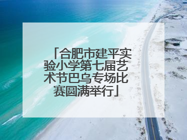 合肥市建平实验小学第七届艺术节巴乌专场比赛圆满举行