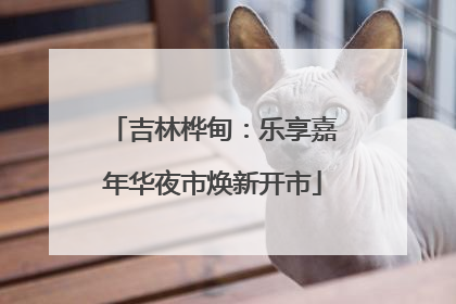 吉林桦甸：乐享嘉年华夜市焕新开市