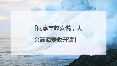同享丰收喜悦，大兴瀛海麦收开镰