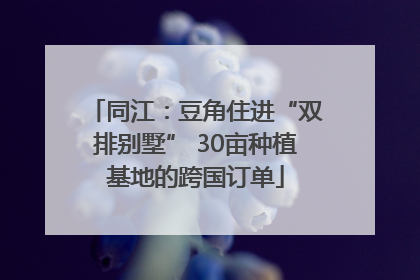 同江：豆角住进“双排别墅” 30亩种植基地的跨国订单
