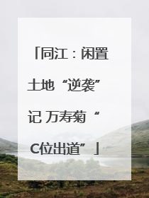 同江：闲置土地“逆袭”记 万寿菊“C位出道”