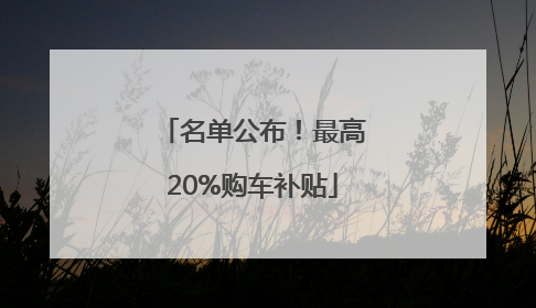 名单公布！最高20%购车补贴