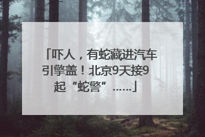 吓人，有蛇藏进汽车引擎盖！北京9天接9起“蛇警”……