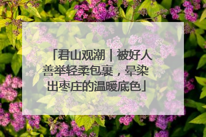 君山观潮｜被好人善举轻柔包裹，晕染出枣庄的温暖底色