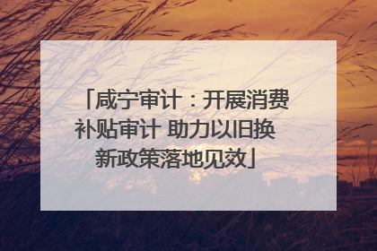 咸宁审计：开展消费补贴审计 助力以旧换新政策落地见效