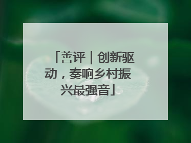 善评｜创新驱动，奏响乡村振兴最强音