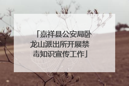 嘉祥县公安局卧龙山派出所开展禁毒知识宣传工作