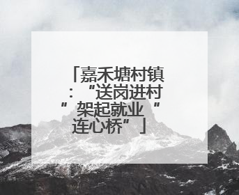 嘉禾塘村镇：“送岗进村”架起就业“连心桥”