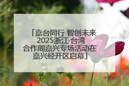 嘉台同行 智创未来 2025浙江·台湾合作周嘉兴专场活动在嘉兴经开区启幕