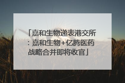 嘉和生物递表港交所：嘉和生物+亿腾医药战略合并即将收官