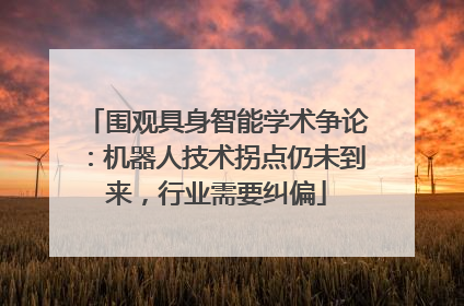 围观具身智能学术争论：机器人技术拐点仍未到来，行业需要纠偏