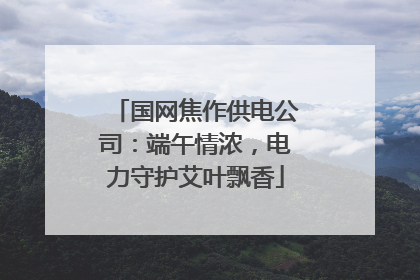 国网焦作供电公司：端午情浓，电力守护艾叶飘香