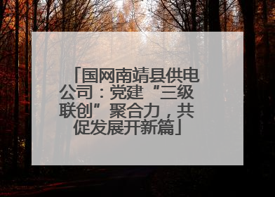 国网南靖县供电公司：党建“三级联创”聚合力，共促发展开新篇