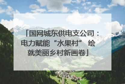 国网城东供电支公司：电力赋能“水果村” 绘就美丽乡村新画卷