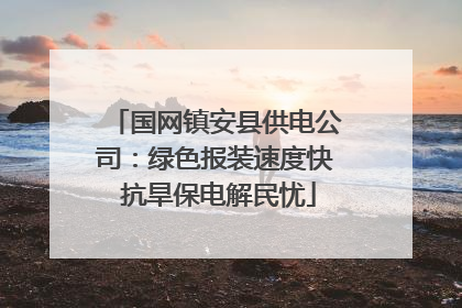 国网镇安县供电公司：绿色报装速度快 抗旱保电解民忧
