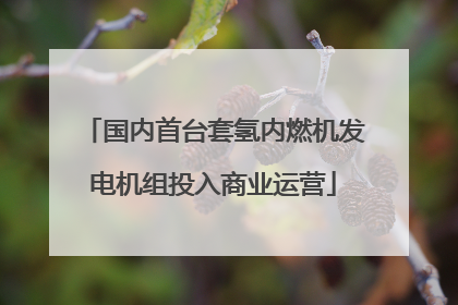 国内首台套氢内燃机发电机组投入商业运营