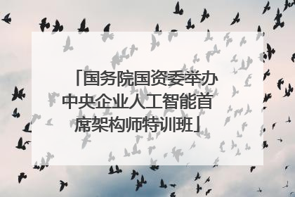 国务院国资委举办中央企业人工智能首席架构师特训班