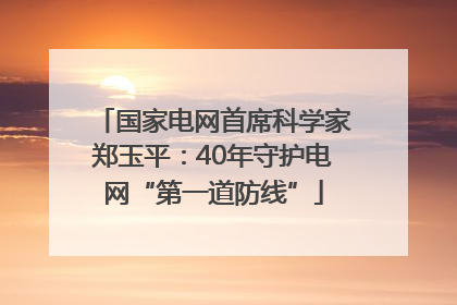 国家电网首席科学家郑玉平：40年守护电网“第一道防线”