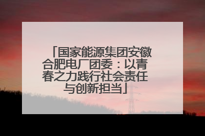 国家能源集团安徽合肥电厂团委：以青春之力践行社会责任与创新担当