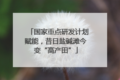 国家重点研发计划赋能，昔日盐碱滩今变“高产田”