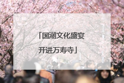 国潮文化盛宴开进万寿寺