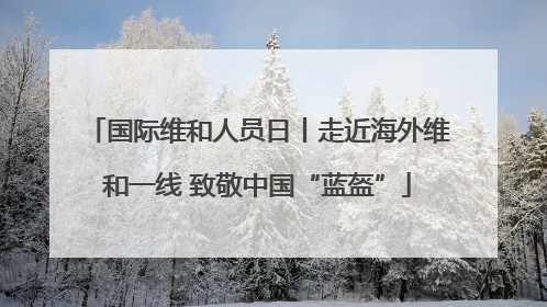 国际维和人员日丨走近海外维和一线 致敬中国“蓝盔”
