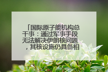 国际原子能机构总干事：通过军事手段无法解决伊朗核问题，其核设施仍具备相关产能，只需要数月就能生产出浓缩铀