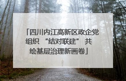 四川内江高新区政企党组织 “结对联建” 共绘基层治理新画卷