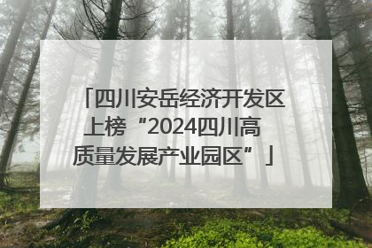 四川安岳经济开发区上榜“2024四川高质量发展产业园区”