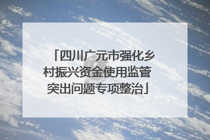 四川广元市强化乡村振兴资金使用监管突出问题专项整治