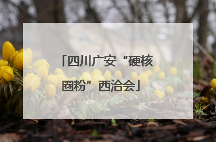 四川广安“硬核圈粉”西洽会