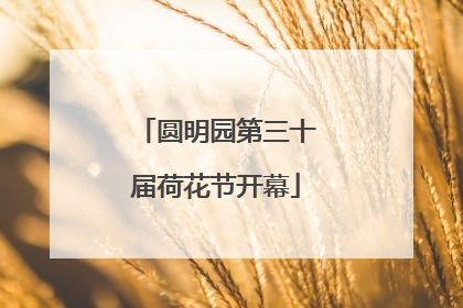 圆明园第三十届荷花节开幕