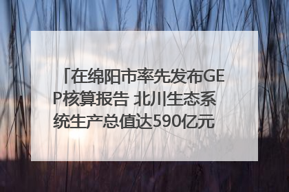 在绵阳市率先发布GEP核算报告 北川生态系统生产总值达590亿元｜新闻发布最前线