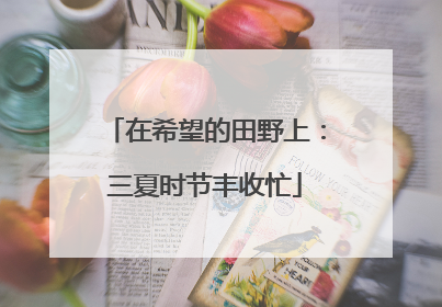 在希望的田野上：三夏时节丰收忙
