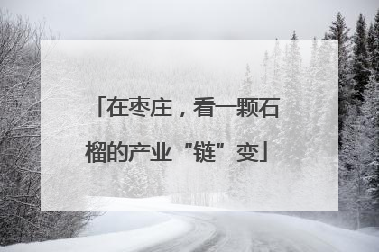 在枣庄，看一颗石榴的产业“链”变