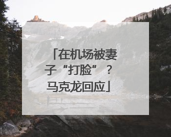 在机场被妻子“打脸”？马克龙回应