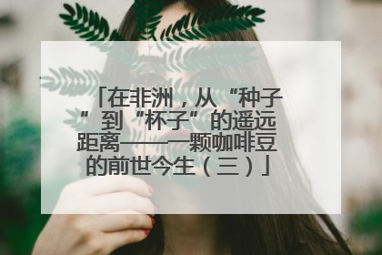 在非洲，从“种子”到“杯子”的遥远距离——一颗咖啡豆的前世今生（三）
