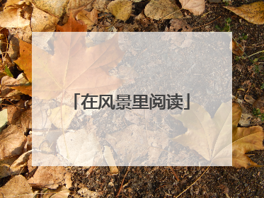 在风景里阅读