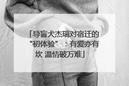 导盲犬杰瑞对宿迁的“初体验”：有爱亦有坎 温情破万难