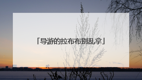 导游的拉布布别乱拿