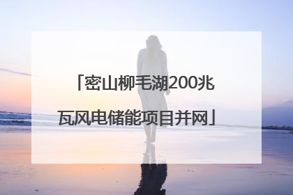 密山柳毛湖200兆瓦风电储能项目并网