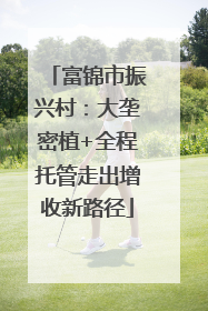 富锦市振兴村：大垄密植+全程托管走出增收新路径