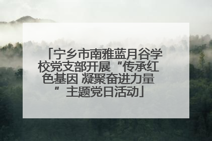宁乡市南雅蓝月谷学校党支部开展“传承红色基因 凝聚奋进力量”主题党日活动