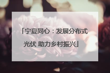 宁夏同心：发展分布式光伏 助力乡村振兴